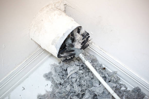 Best Air Duct Mold Removal  in Madison, OH